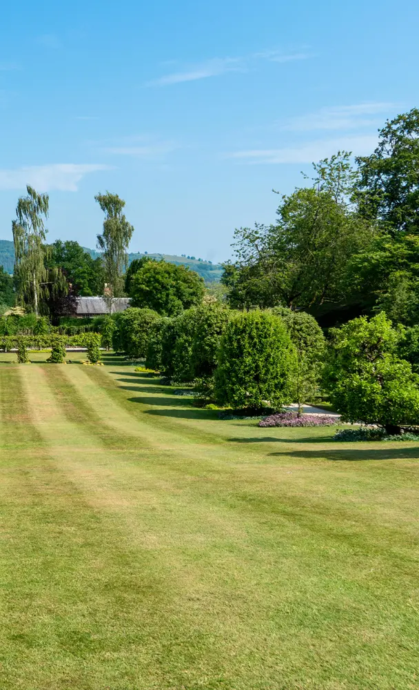 A striped country-house lawn and garden borders framed by mature trees, with hills beyond